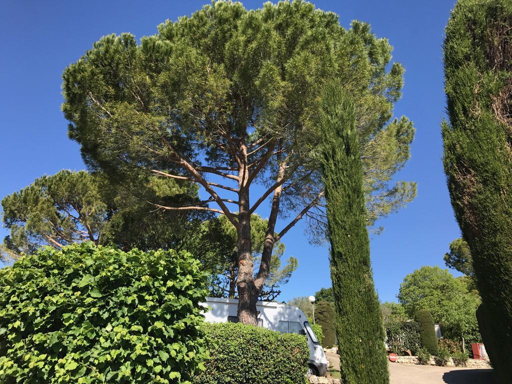 Camping La Paoute Grasse Ngoại thất bức ảnh
